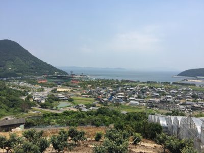 IMG_5274