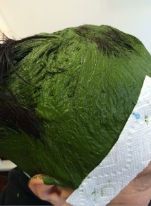 img_6558